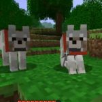 breed wolves in Minecraft
