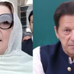 Noreen Niazi Imran Khan