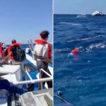 Cyprus ferry capsize