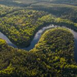 Aerial view of the Amazon rainforest canopy and river