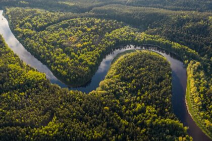 Aerial view of the Amazon rainforest canopy and river