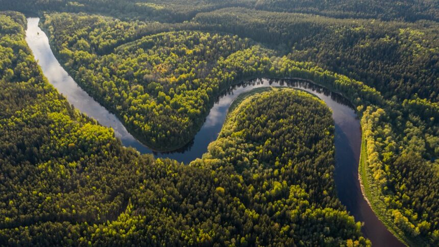 Aerial view of the Amazon rainforest canopy and river