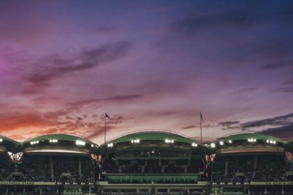 Cricket players on a field, representative image