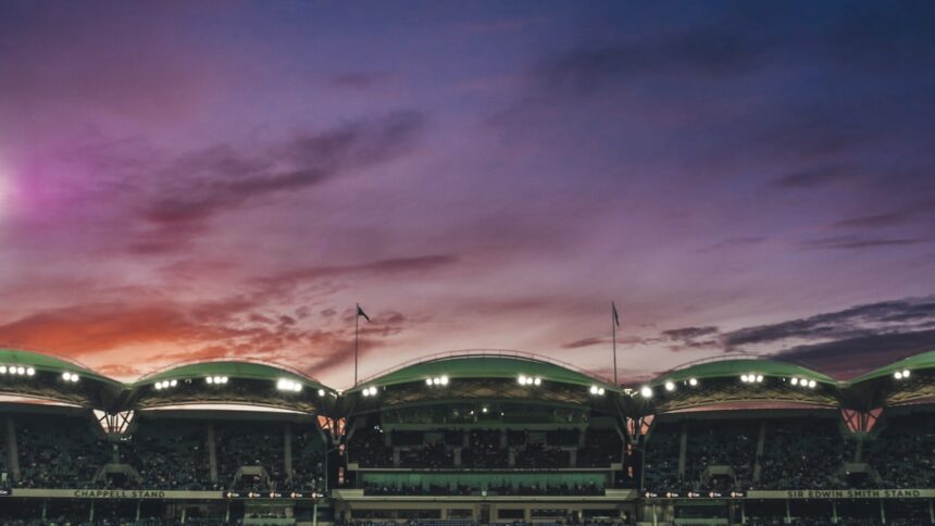 Cricket players on a field, representative image