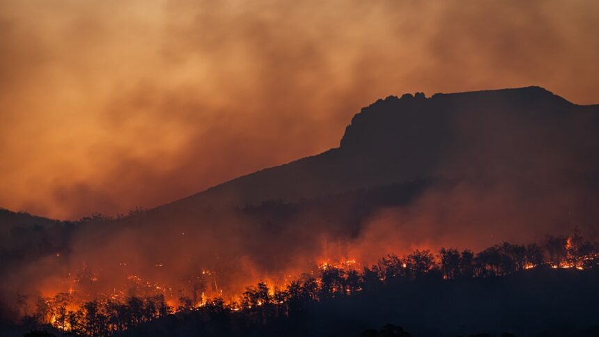Wildfire burning across a European hillside at dusk