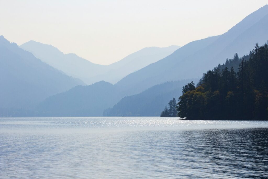 Trees beside a lake, representative image