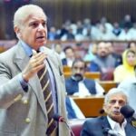 Prime Minister Shehbaz Sharif addressing the National Assembly, file photo