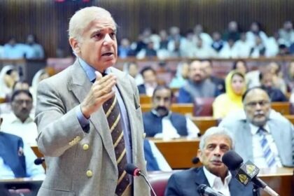 Prime Minister Shehbaz Sharif addressing the National Assembly, file photo
